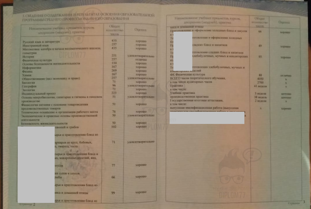 Предметы в дипломе по профессии